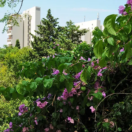 Affittacamere Prskalo